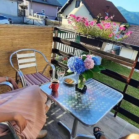 Sunce * Bajina Basta